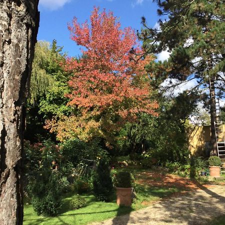 Appartement Fond De Jardin 1 Etage パレゾー エクステリア 写真