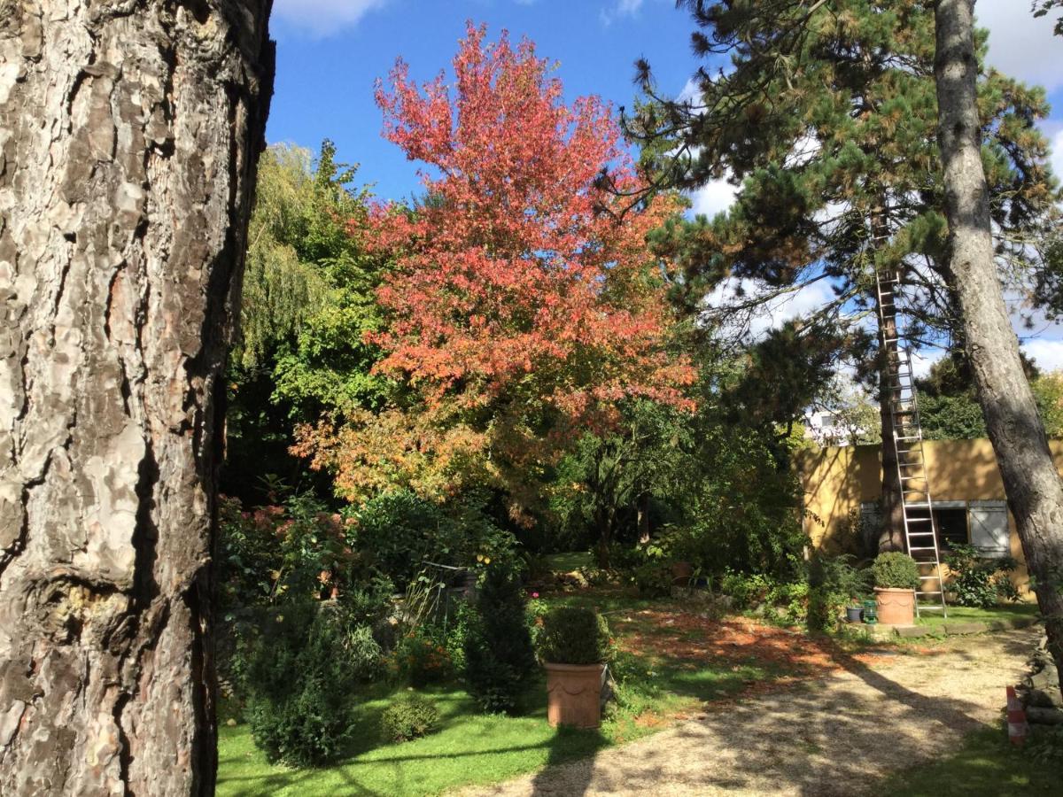 Appartement Fond De Jardin 1 Etage パレゾー エクステリア 写真